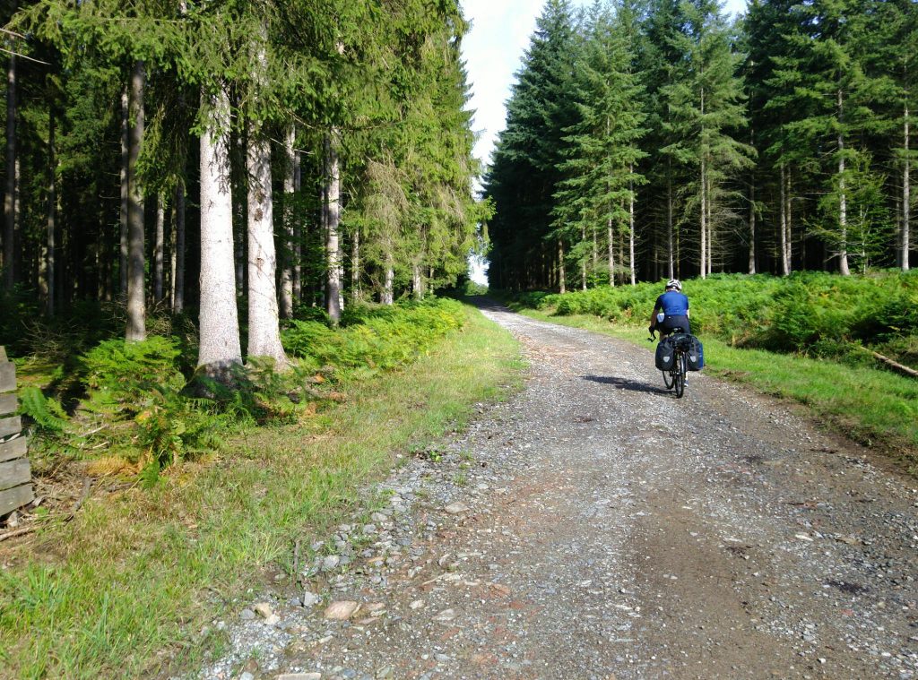 Waldweg bei St-Hubert