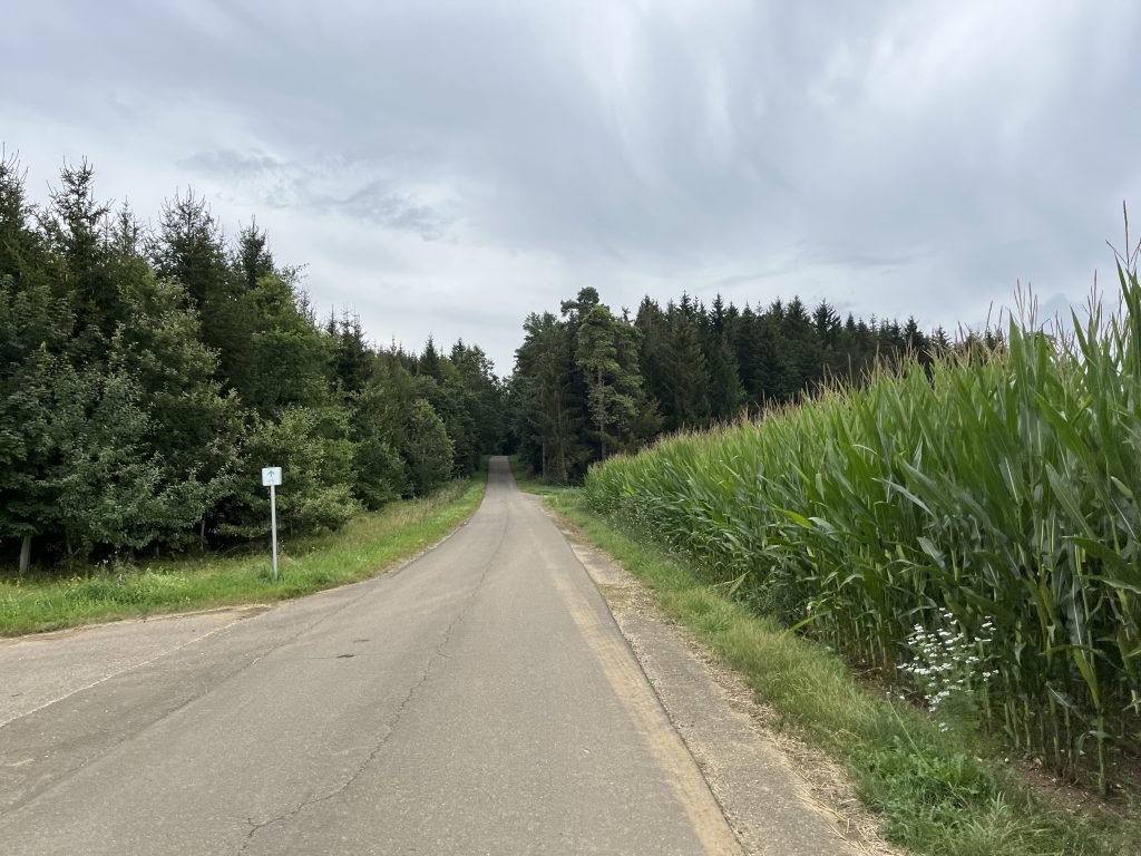 Nebenstraße auf der Alb