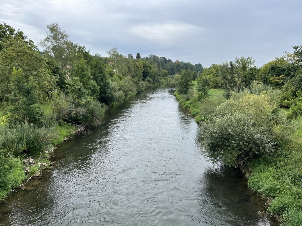 Donau in Binswangen