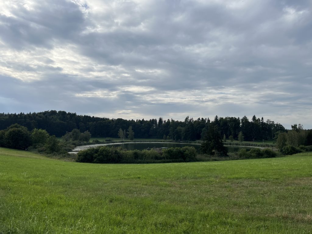 Bibersee bei Blitzenreute